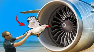 Bird Strike Jet Engine Test | This Is How Airplane Engines Are Tested? | Flashinfo