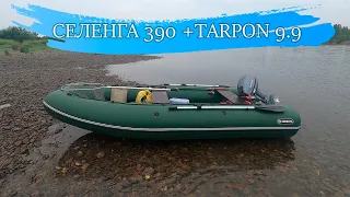 Лодка Селенга 390 + Tarpon 9.9(Sea-Pro). Сколько может везти? Какая Скорость? Бытовой Обзор