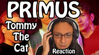 Musician Listens to Tommy The Cat - PRIMUS - First Time Reaction!