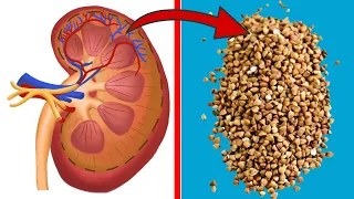 Diese 5 Lebensmittel sind gut für die Nieren ⚡️ UNBEDINGT essen 💥