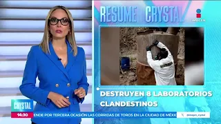 Destruyen ocho laboratorios clandestinos en Sinaloa | Noticias con Crystal Mendivil