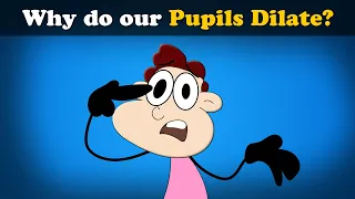 Why do our Pupils Dilate? + more videos | #aumsum #kids #science #education #children