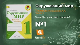 Задание 1 Что у нас над головой? - Окружающий мир 1 класс (Плешаков А.А.) 1 часть