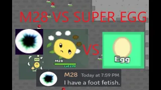 Florr.io - THE DEVELOPER(M28) vs SUPER EGG!!