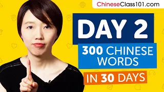 Day 2: 20/300 | Learn 300 Chinese Words in 30 Days Challenge