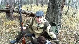 Осенняя охота с русским охотничьим спаниелем