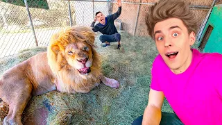 24 Hours at a ZOO Challenge !
