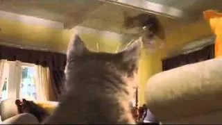 Кошки против собак / Cats & Dogs / 2001