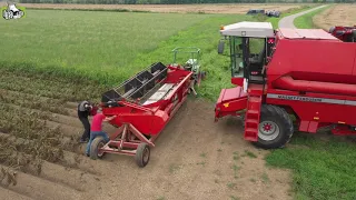 In bedrijf stellen van een Massey Ferguson 34 door Barendregt mechanisatie bv