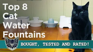 The Ultimate Cat Water Fountain Showdown: The TOP 8 ALL TESTED!