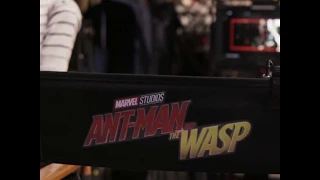 Ant-Man and the Wasp Production Start