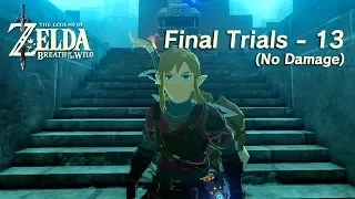 Final Trials 13 (No Damage) (The Legend of Zelda: Breath of the Wild Trial of the Sword DLC)