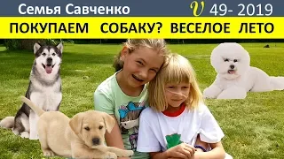 Покупаем собаку?  Веселое лето многодетной семьи. Огород Семья Савченко