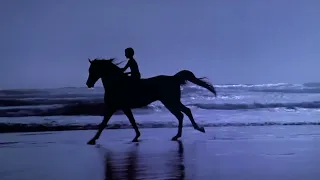 The Black Stallion (1979) end credits