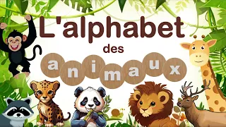 ABC en français | ABC animals | French Alphabet | ABC French | Alphabet for kids | L'alphabet