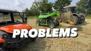 HAY TIME & MERLO PROBLEM#OLLYBLOGS #AnswerAsAPercent 1182