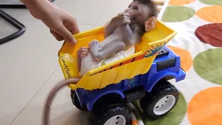23/ Wow....Adorable ! VALEN keep quiet on the car,  Look lovely gorgeous baby monkey 2021