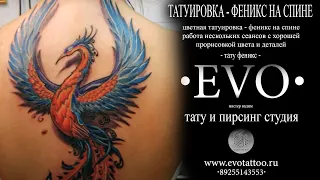 Татуировка Феникс. Студия татуировки и пирсинга Evo.