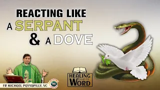 Reacting like a serpant and a dove Homily by Fr. Michael Payyapilly, VC | Healing through the Word
