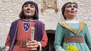 Trobada de gegants del 50è aniversari dels gegants de la Geltrú