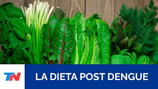 DIETA POST DENGUE: ¿Qué comer y qué alimentos evitar?