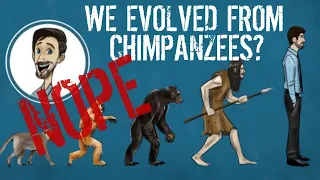 Humans Did NOT Evolve from Chimpanzees!