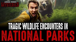 TRAGIC Wildlife ENCOUNTERS In National Parks