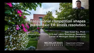 Transcriptional competition shapes proteotoxic ER stress resolution