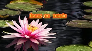 Meditation Beautiful Relaxing music. Peaceful Piano.Focus Music, Deep Sleep Music, Stress Relief.