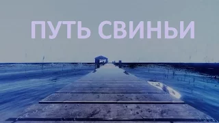 Путь свиньи