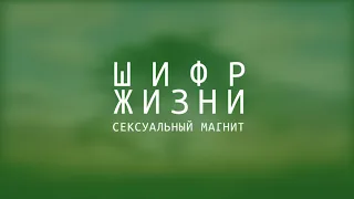 Сексуальный магнит, только для женщин! Программирование во сне. Аффирмации. 8 часов. Секс аффирмации