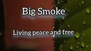 Big Smoke - living peace and free remix (KARAOKE Version)