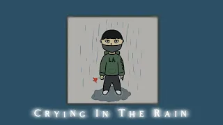 Crying In The Rain - Show Go (Cover by JangY)