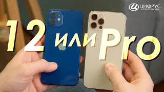 Сравниваем iPhone 12 и iPhone 12 Pro — какой выбрать?