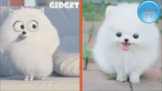 The Secret Life Of Pets Characters In Real Life #1