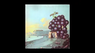 Moby Grape – Wow - Full Album (Vinyl)