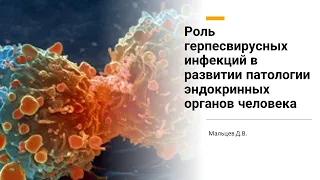 Мальцев Д В  Роль герпесвирусных инфекций в развитии патологии эндокринных органов человека
