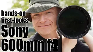 Sony FE 600mm f4 review: HANDS-ON with $13K super-tele!