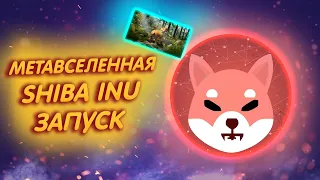 SHIBA INU: ОБЪЯВЛЕН ЗАПУСК МЕТАВСЕЛЕННОЙ ШИБА ИНУ!/ СОЗДАТЕЛИ ШИБЫ РАССКАЗАЛИ О МЕТАВСЕЛЕННОЙ!