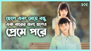 বেস্টফ্রেন্ড যখন বয়ফ্রেন্ড 💖 Movie Explain In Bangla Chinese / Korean Drama Bangla 🟤 Cinemohol