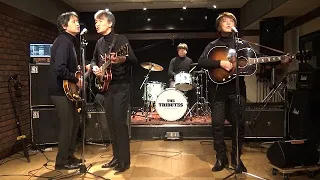 You're Going To Lose That Girl / The Tributes  Beatles cover