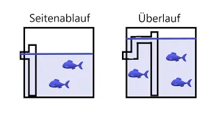 Koiteich - Überlauf statt Bodenablauf