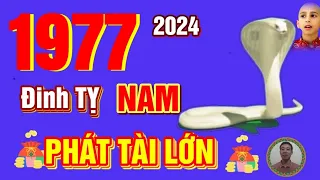 🔴 TỬ VI 2024: Tử Vi Tuổi ĐINH TỴ 1977 Nam Mạng năm 2024- Trời Ban Lộc, PHÁT TÀI CỰC MẠNH, GIÀU TO