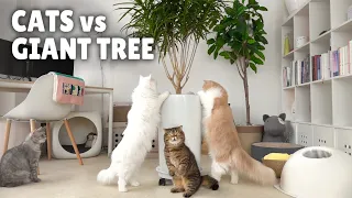 Cats vs Giant Tree Monster! | Kittisaurus