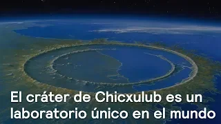 El cráter de Chicxulub, un laboratorio único en México y el mundo