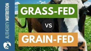 Is Grass-Fed Beef Really Healthier Than Grain-Fed?