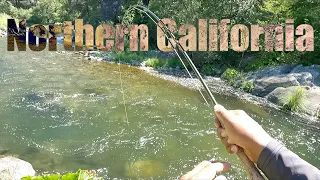 Fly Fishing Beautiful Northern California - Free Form Fly Fisher