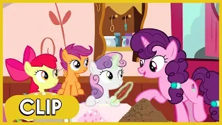 The CMC Help Sugar Belle with Her Proposal Plan - MLP: Friendship Is Magic [Season 9]