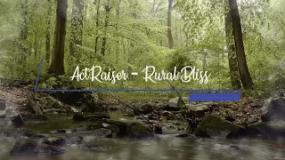 ActRaiser - Rural Bliss (Liquid Drum & Bass)