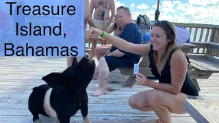 Swim with the Pigs 🐷 at Pig Island, Bahamas #cruiselife #NCL #carribean